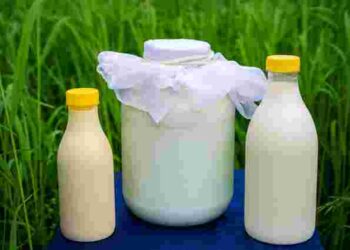 Чи можна заморожувати молоко: основні правила та поради щодо зберігання