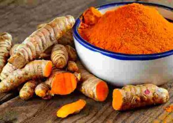 Розсада без хімії: як використовувати куркуму для підживлення