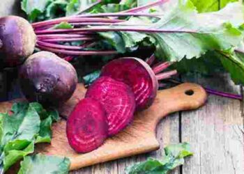 Який сорт буряка не боїться борошнистої роси: посадіть його для найкращого врожаю