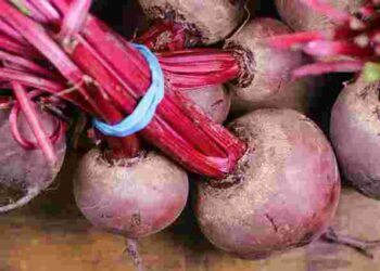 Не зів’яне до весни: топ-6 варіантів, як зберігати буряк