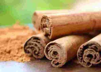 Як відрізнити справжню корицю від касії: головні ознаки