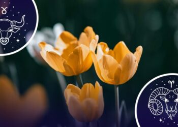3 знаки зодіаку, у яких вже цієї весни життя перевернеться з ніг на голову