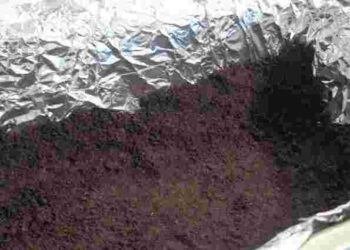 Як зробити інкубатор для розсади власноруч: секрети підвищення врожайності