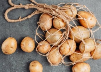 Приготувати чи викинути? Як визначити, чи безпечно їсти пророщену картоплю