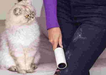 Як позбутися шерсті тварин з одягу під час прання: практичні поради