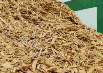 Не розсипайте тирсу на городі: загроза для врожаю, про яку ви не замислювалися