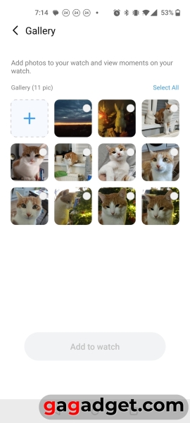 Металевий корпус і AMOLED-дисплей: огляд розумного годинника Haylou Solar 5 за 50 доларів