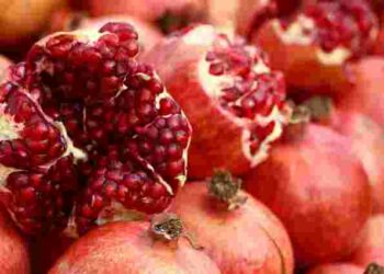 Соковитий і солодкий: як вибрати стиглий гранат і не помилитися