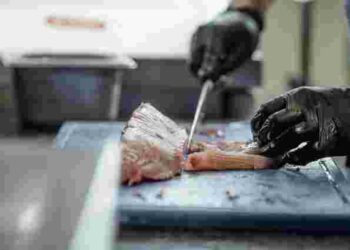 Як швидко витягнути кістки з риби: прості поради