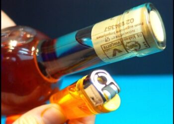 Чтобы отсутствие штопора не испортило праздник: как открыть вино хитрым способом