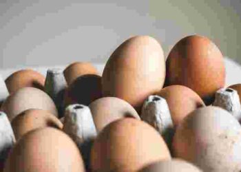 У холодильнику чи у шафі: як правильно зберігати яйця