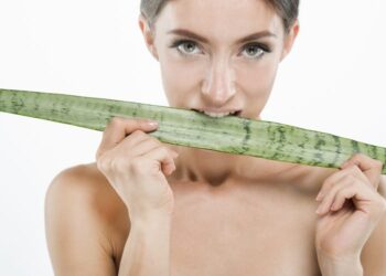 Як правильно їсти алое: ці прості правила важливо знати