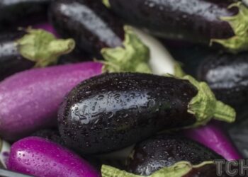 Як правильно зберігати баклажани