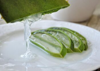 Як створити домашній крем з алое вера для молодості шкіри
