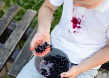 Як вивести плями від ягід та врятувати улюблену сорочку: найефективніші методи