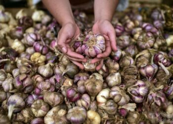 Як зберігати часник: дієві поради