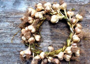 Как хранить чеснок в квартире: 7 лучших способов, чтобы не засох