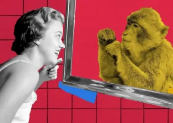 Натуральне не завжди краще: як бренди експлуатують “міф про натуральність”