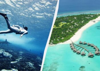Названо найкращі місця у світі для тих, хто хоче навчитися дайвінгу