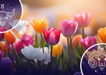 Не пропустіть: 2 знаки зодіаку, яким початок березня принесе довгоочікувану хорошу новину