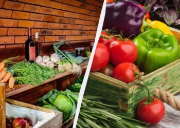 Овочі постійно гниють у льосі: 3 причини та способи вирішення