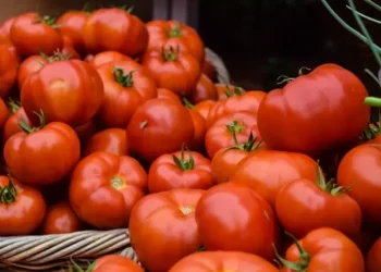 Продукти для серця і судин: 10 найкорисніших