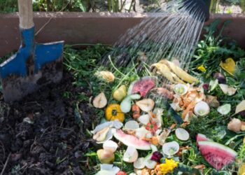 Речі, які краще не компостувати: корисні поради для садівників