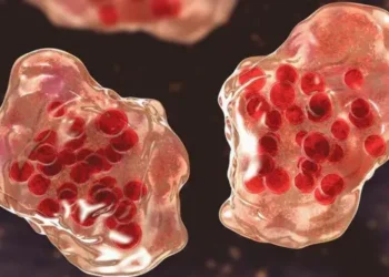 Що таке кір і чому він такий заразний і небезпечний