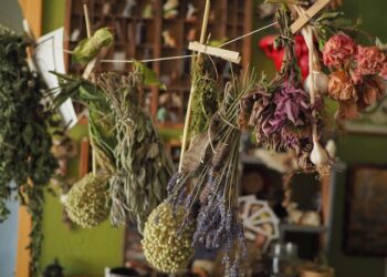 Трави для волосся: 10 найкращих трав – Ліза – жіночий сайт для сучасної жінки