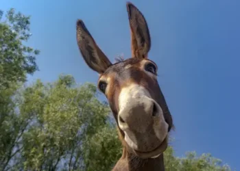 Вісім звичок, які зроблять вас щасливішими попри все