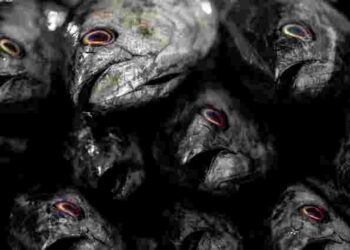 Як правильно варити рибний бульйон: секрети прозорості та аромату