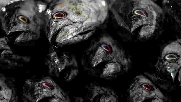 Як правильно варити рибний бульйон: секрети прозорості та аромату