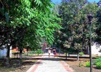 Висадка дерев у дворі багатоповерхівки мешканцями: чи потрібен дозвіл і що посадити