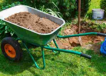 Мульча для квітника: як забути про прополювання