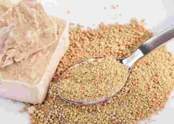 Як розмножити дріжджі вдома, якщо не вистачає для випічки: два способи