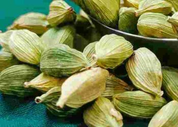 Гід по кардамону: як обрати, зберігати та використовувати