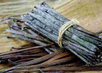 Ваніль, ванільний екстракт та ванілін: чи можуть вони заміняти один одного