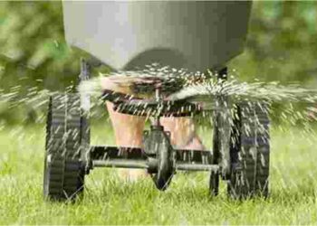 Весняна обробка газону: коли, чим і як правильно його підживити