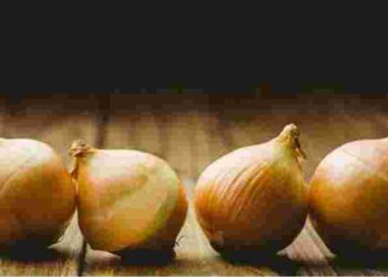 Не пропустіть найбільш вдалі дні: коли садити цибулю навесні 2025 року