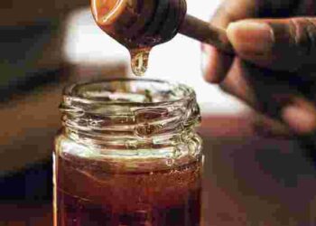 Чи може мед зіпсуватися: несподівана відповідь