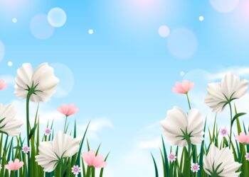 Чи належите ви до 3 знаків зодіаку, яким весна 2025 принесе кардинальні зміни у житті