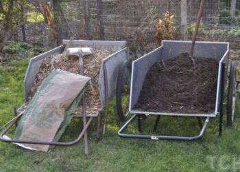 Чому деревна тріска — це секрет здорового ґрунту: як її використовувати