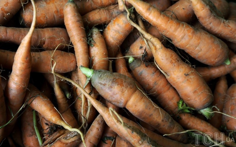 Цікавий спосіб прорідити моркву: поради садівниці