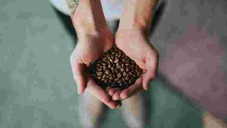 Різні не лише на смак: у чому відмінність між арабікою та робустою