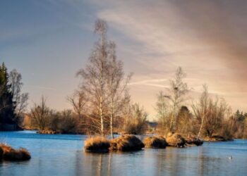 Які відео працюють як знеболювальне: вчені здивували відповіддю