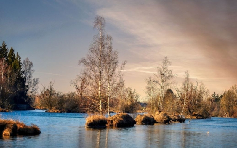 Які відео працюють як знеболювальне: вчені здивували відповіддю