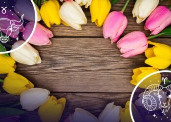 Квітень на порозі: що підготували зірки для всіх знаків зодіаку