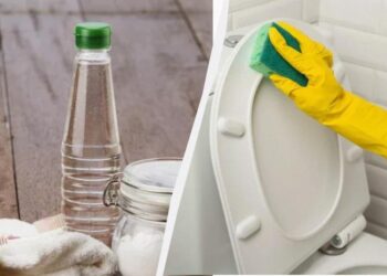 Навіть старий жовтий унітаз стане білосніжним: як відмити кришку і сидіння без “хімії”