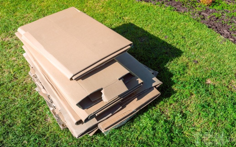 Не викидайте: як використати старі коробки з користю для саду