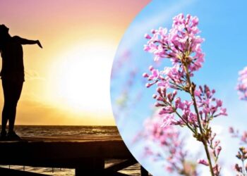 Нове життя чекає: 2 знаки зодіаку готові розквітнути в день весняного рівнодення